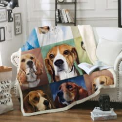 Beagle -  Blanket R151 Geembi™