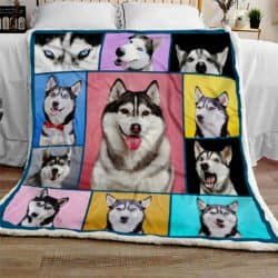 Funny Husky Sofa Throw Blanket SS205 Geembi™