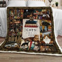 Books And Cats Sofa Throw Blanket TH765 Geembi™