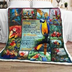 God Has You In His Arms, I Have You In My Heart , Parrot  Sofa Throw Blanket  Geembi™