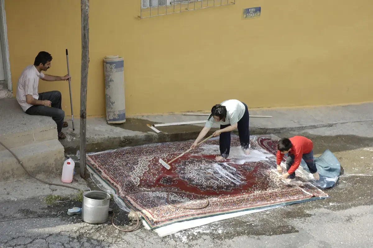 preventing outdoor rugs from getting mold