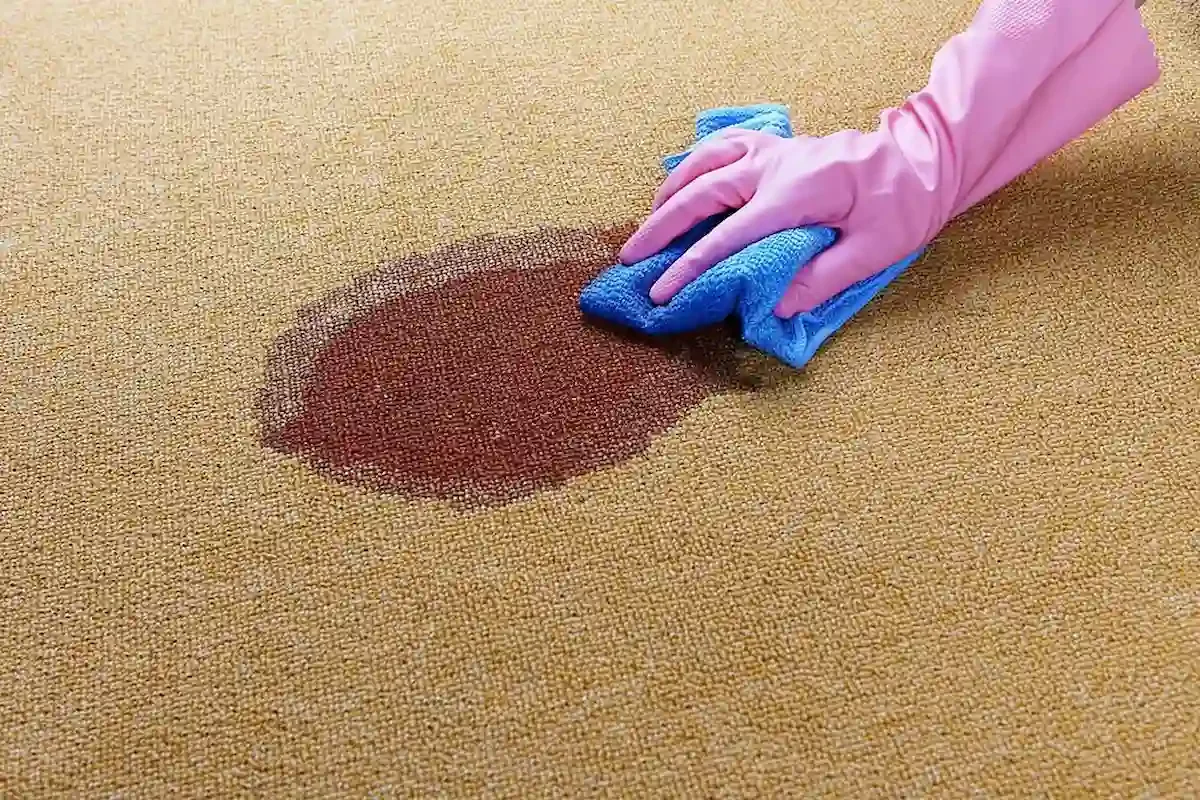 put carpet cleaner on area rug